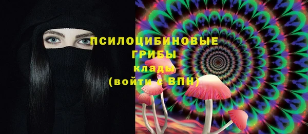 дурь Нея