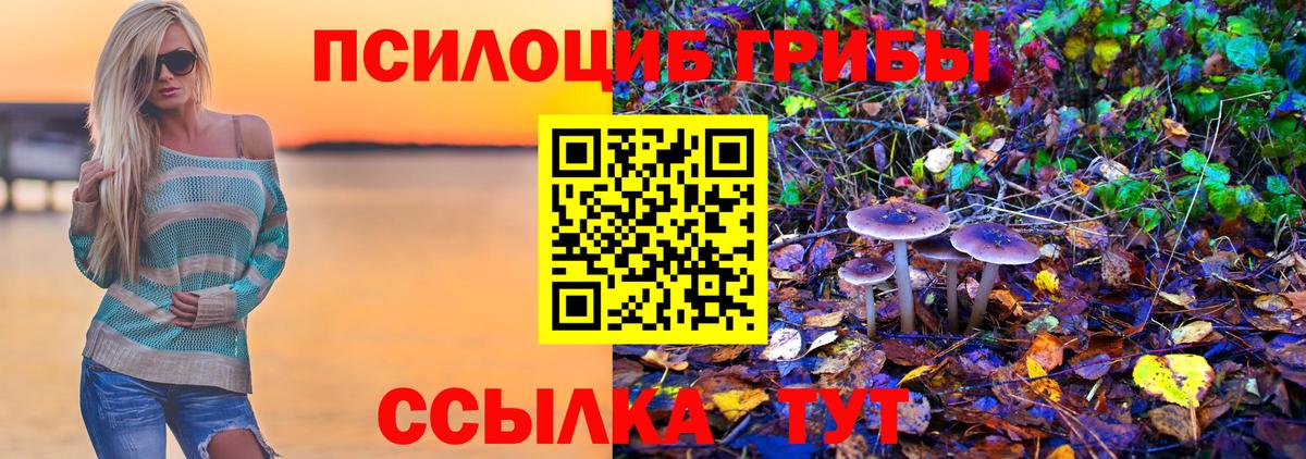 Галлюциногенные грибы MAGIC MUSHROOMS  Галлюциногенные грибы мицелий  Вход с VPN  продажа наркотиков  Железногорск 